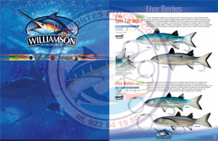 Live Series